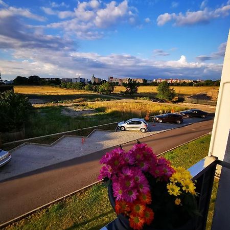 Teo Apartment Braşov Eksteriør billede